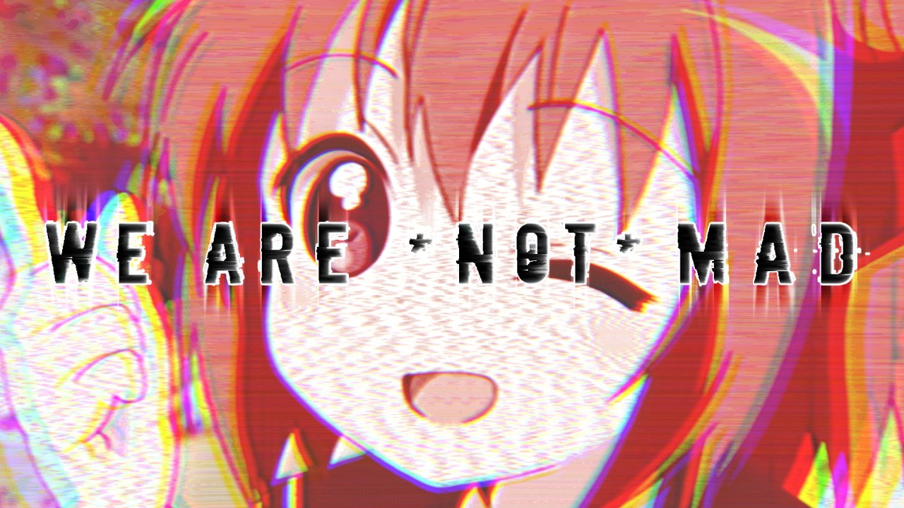 WE ARE *NOT* MAD
