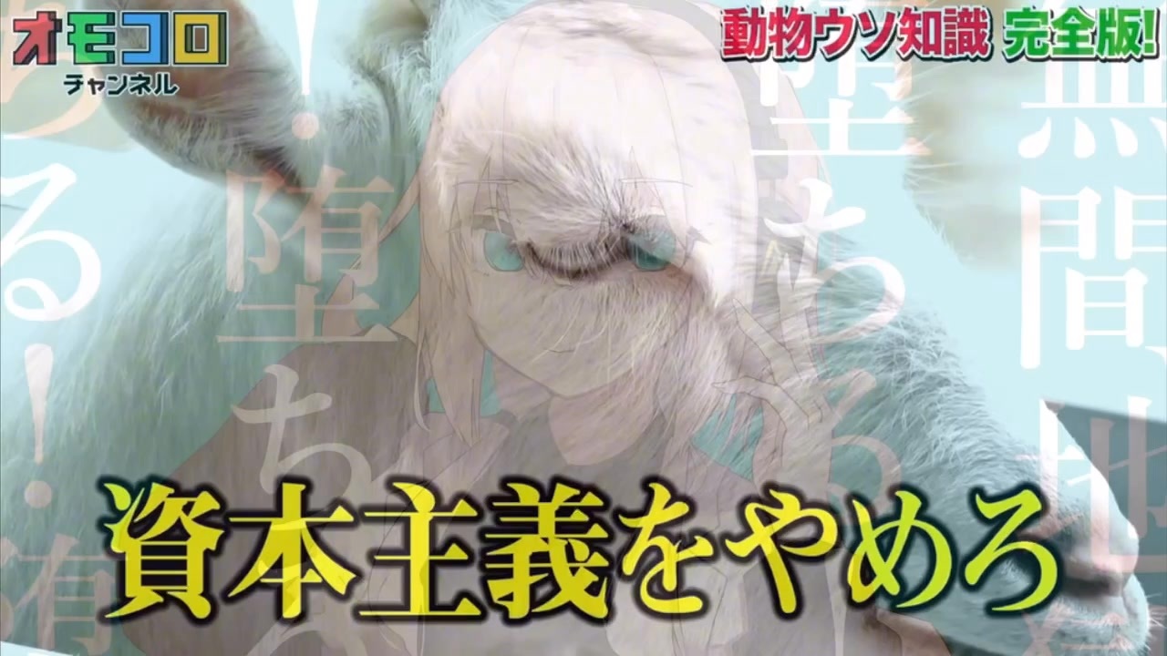 あざみ あざみ 鬼あざみ 色ふきのとう バルデラマ