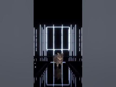 O-I-I-A-OVISION 😻 [Eurovision]