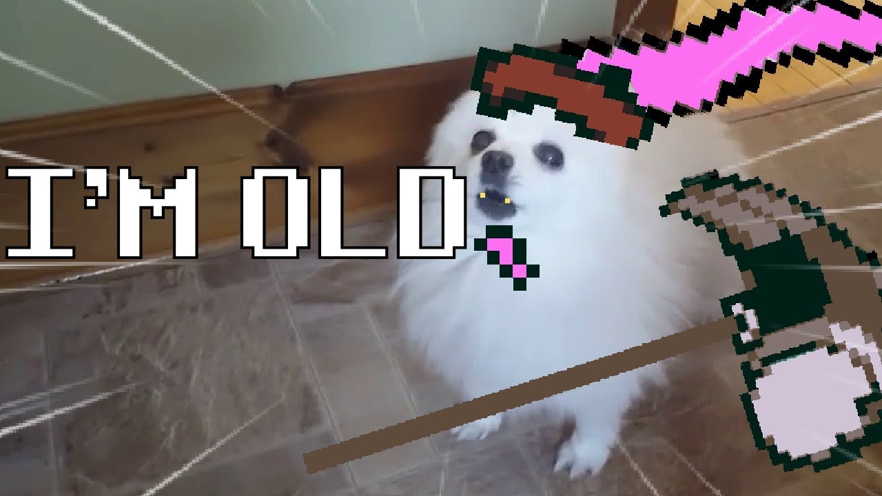 Bork of Justice