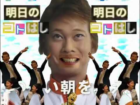 モレシンス イワシパート