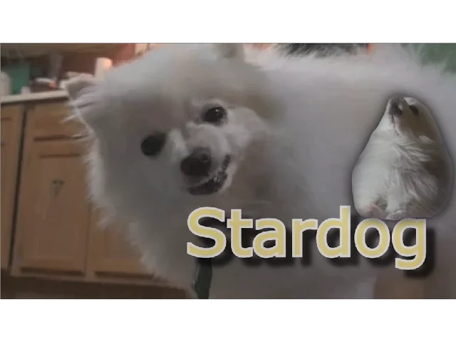 Stardog