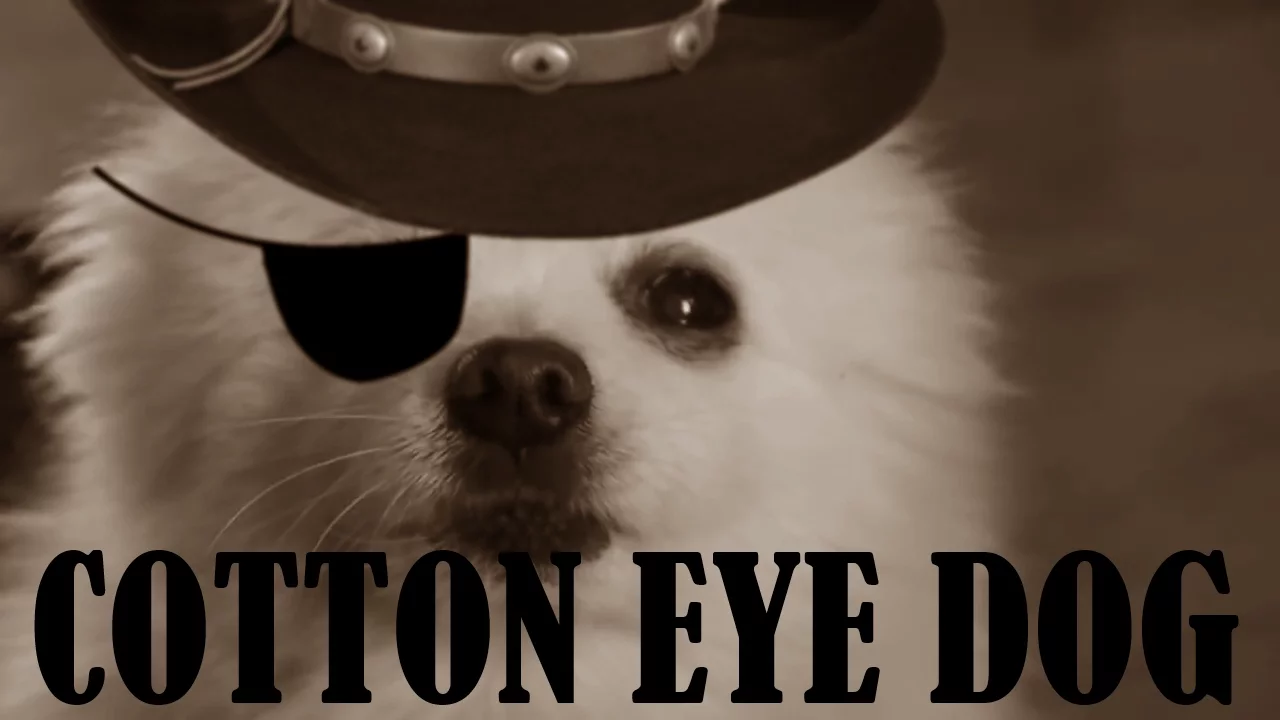 Gabe the Dog - Cotton Eye Dog (Rednex)