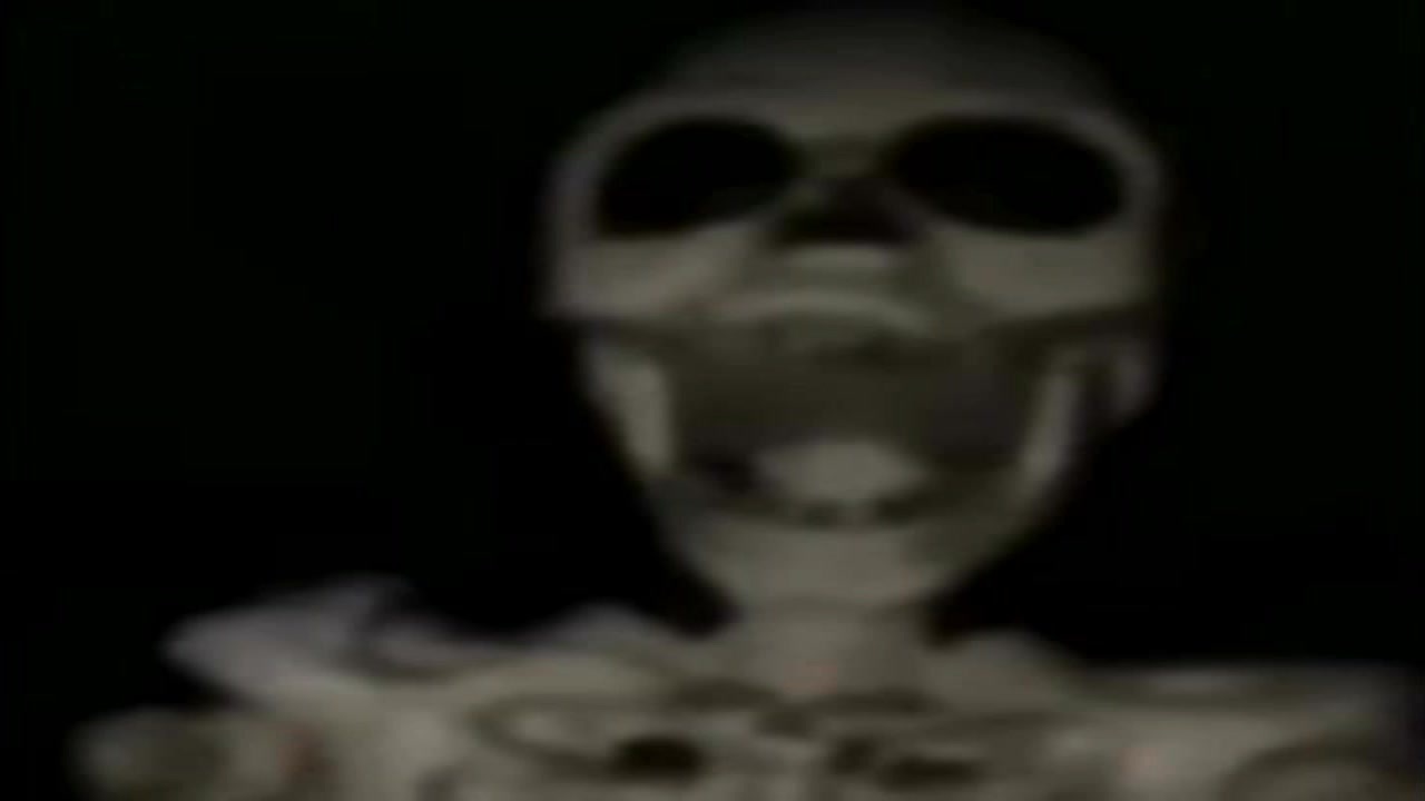 Let's Bone!!!!!!!!!!!!!!!!!!!!!!!!!!!!!!!!!!!