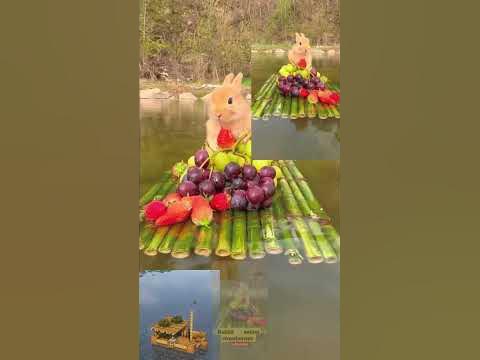 cute rabbit on the raft #shorts