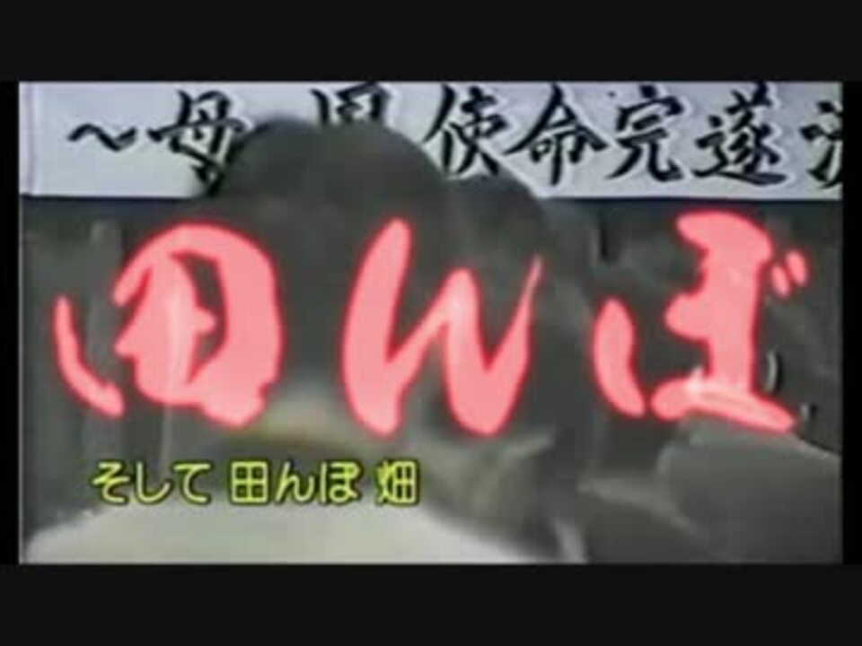 田んぼ