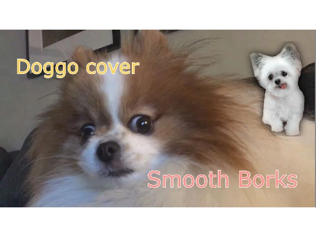 alien dog farm - Smooth borks