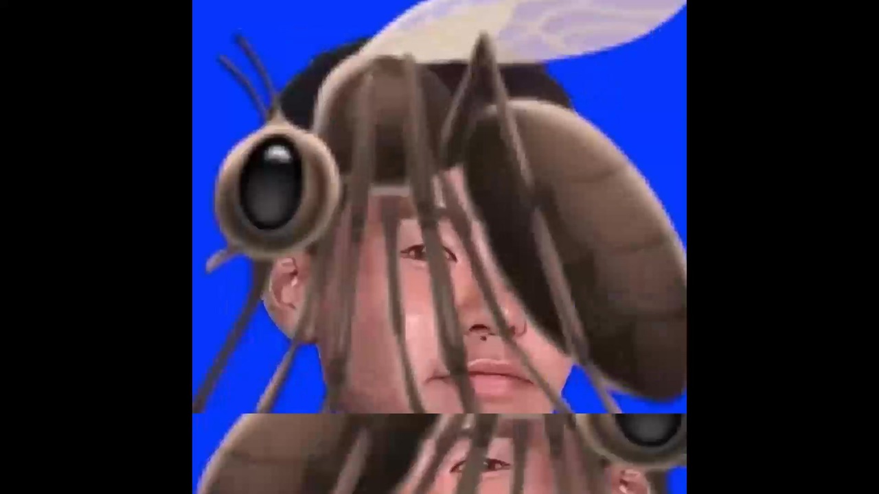 蚊月