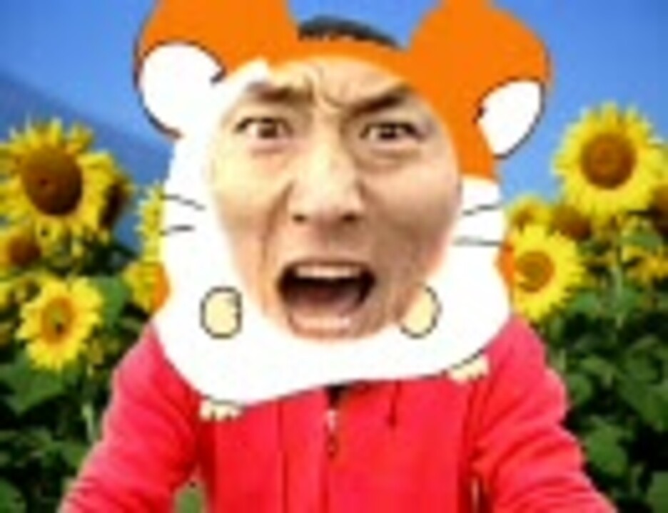 とっとこ松太郎
