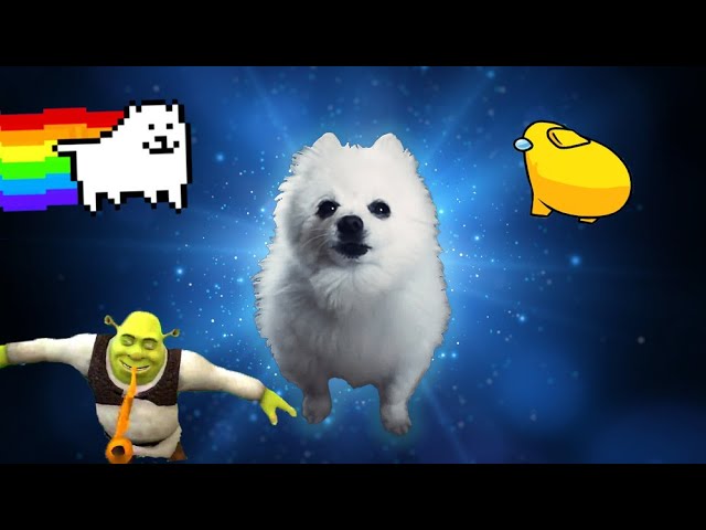 20 Famous Doggo Meme Songs