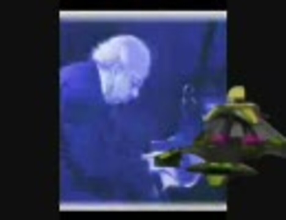 Concertino in Battledome