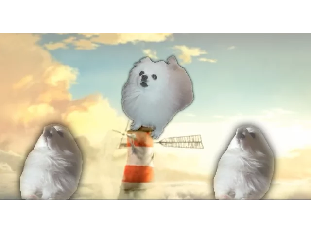 Feel Bork inc.