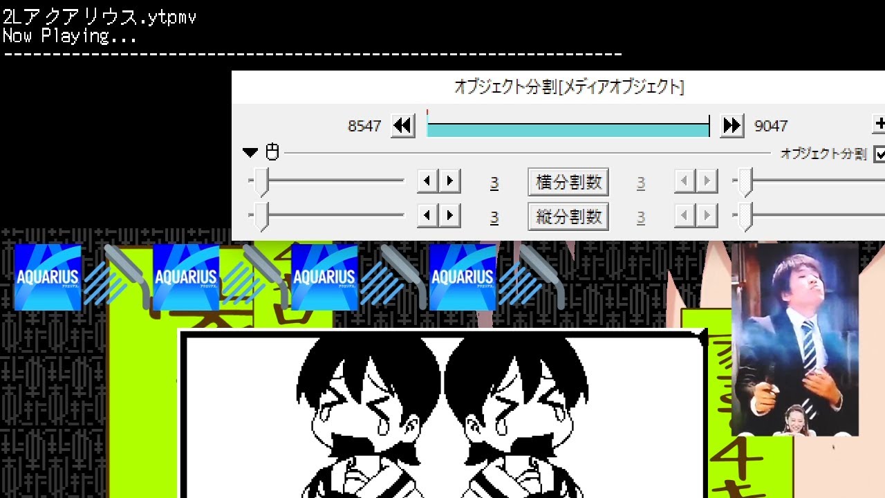 2Lアクアリウス