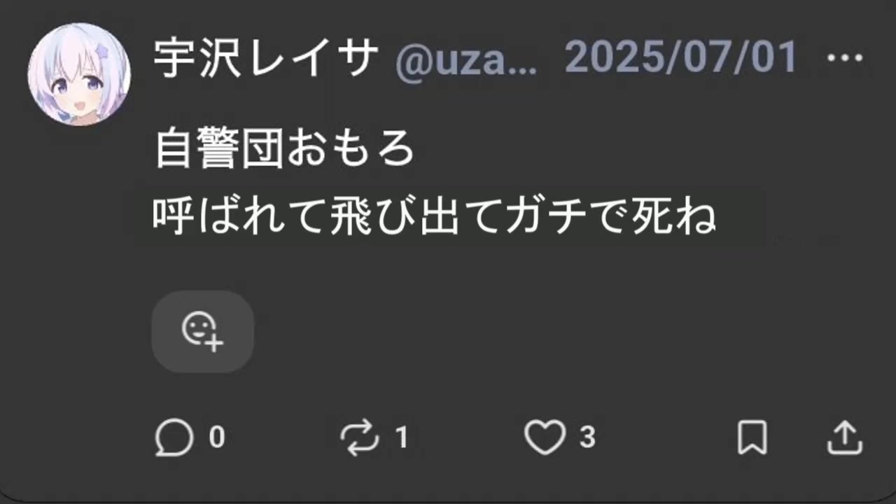 U.Z.レイサはガチ〇ねなのか?最終鬼畜自警団おもろ・W