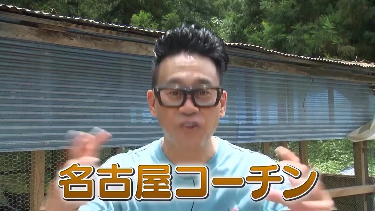 伊忍屋敷者賀