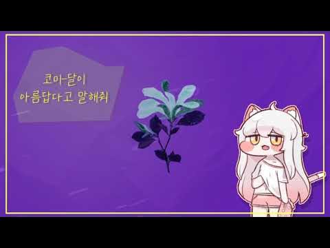 코미-달이 아름답다고 말해줘!