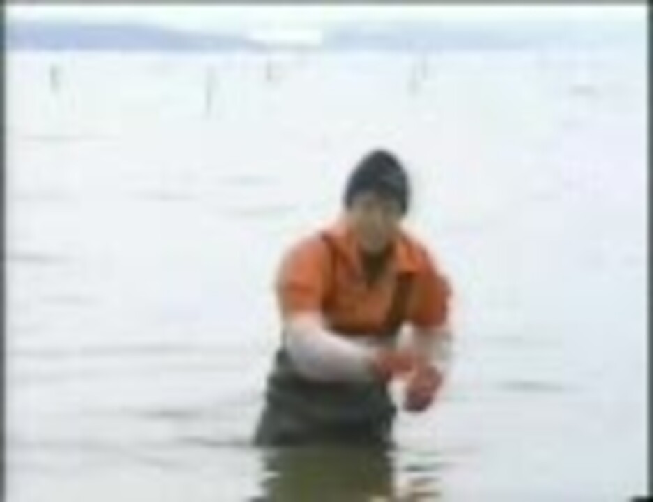 マツオカの熱き蜆