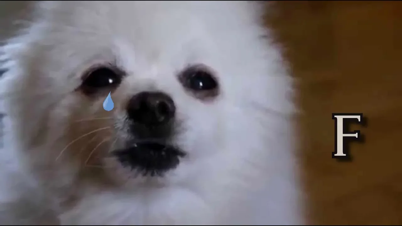 We are Number One but it's a bork Tribute