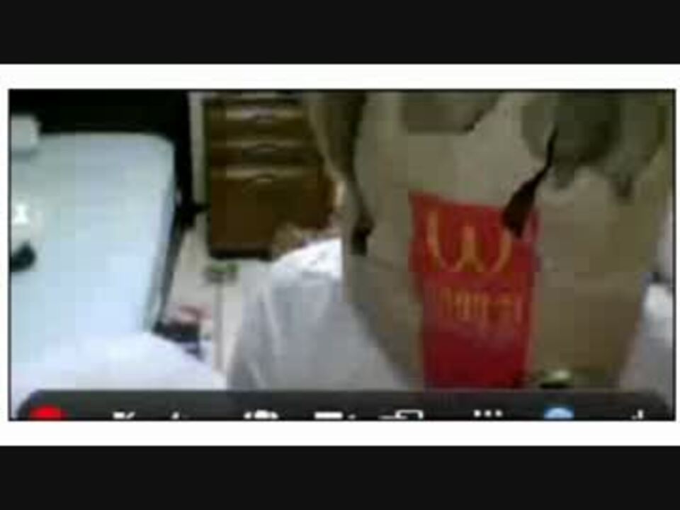 南国マクドナルド星人