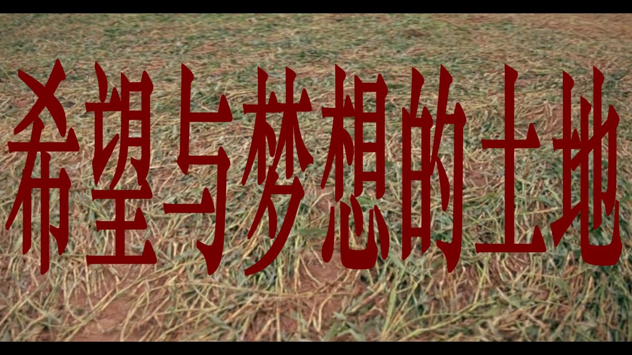 希望与梦想的土地