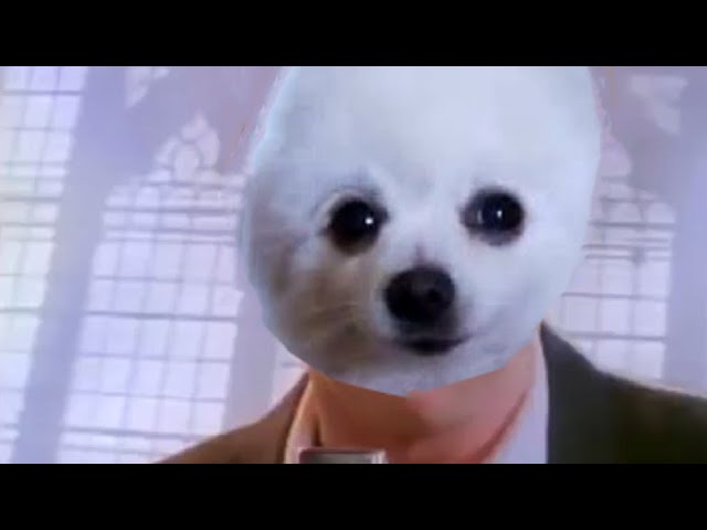 Never Gonna Bork You Up