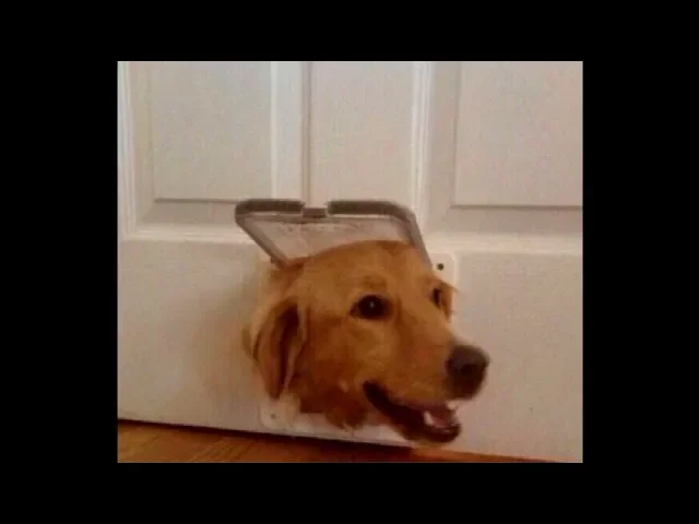 did someone say food?