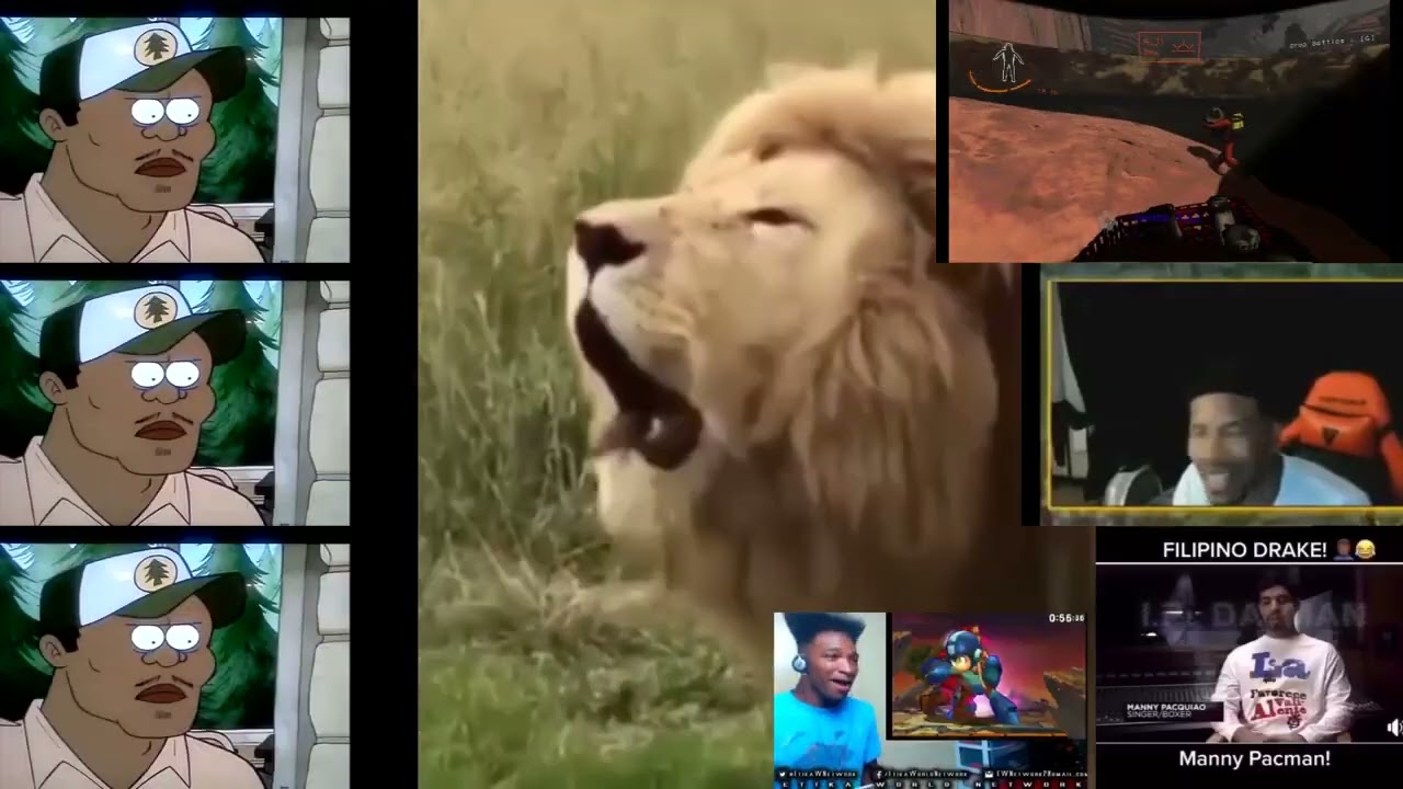 How light skin lions roar