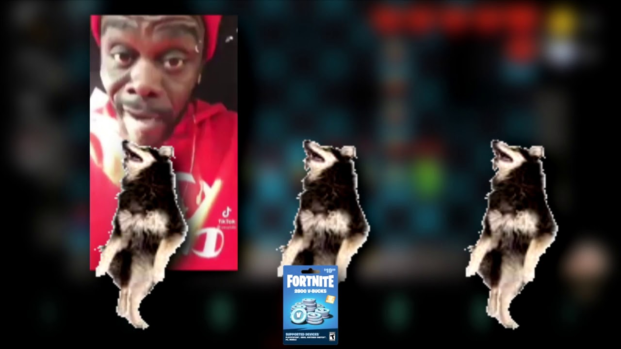 19 Dollar Konga Line