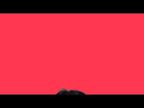 댄스 로봇 댄스