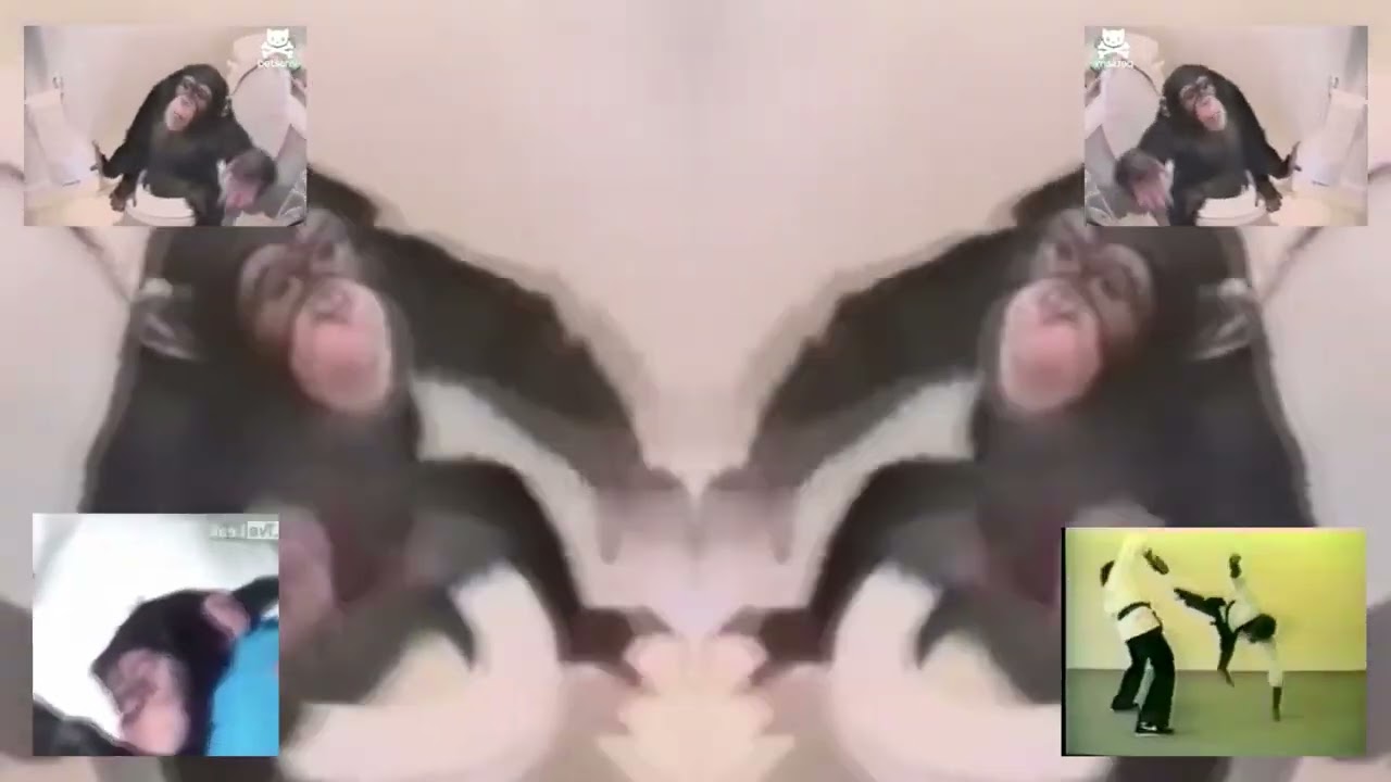monkeytpmv