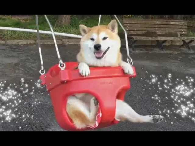 watch this to get happ