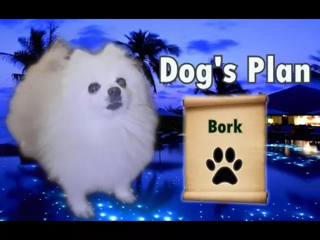 Dog's plan