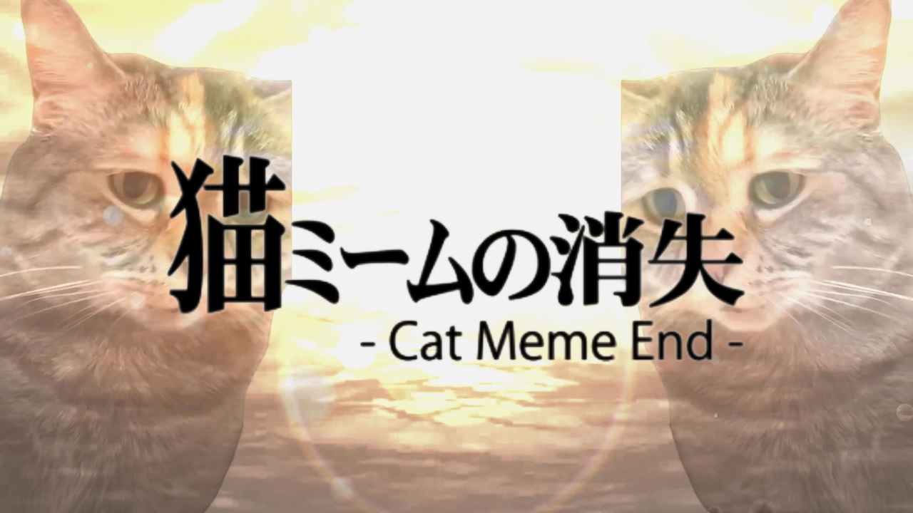 【音MAD】猫ミームの消失-CAT MEME END-