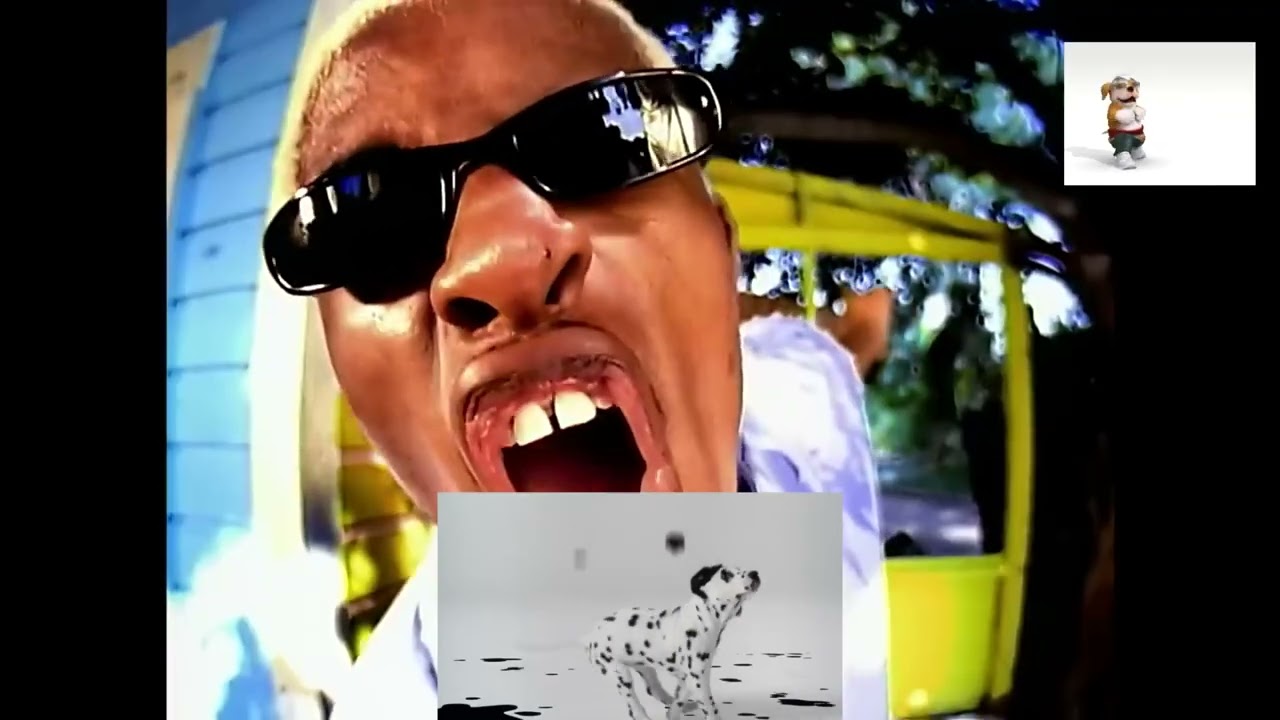 dog plainz