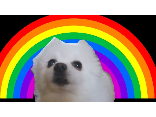 Gabe the dog - Rainbow Tylenol