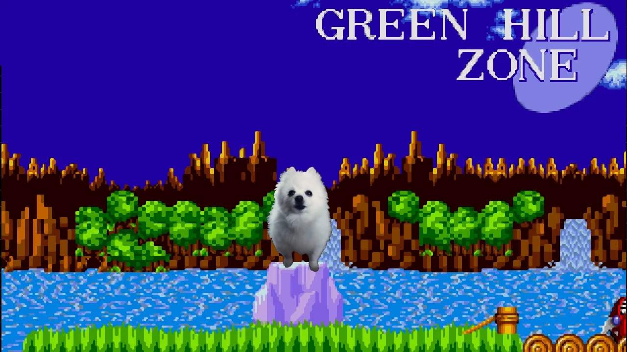 Gabe the Dog - Green Hill Dog (Sonic the Hedgehog)