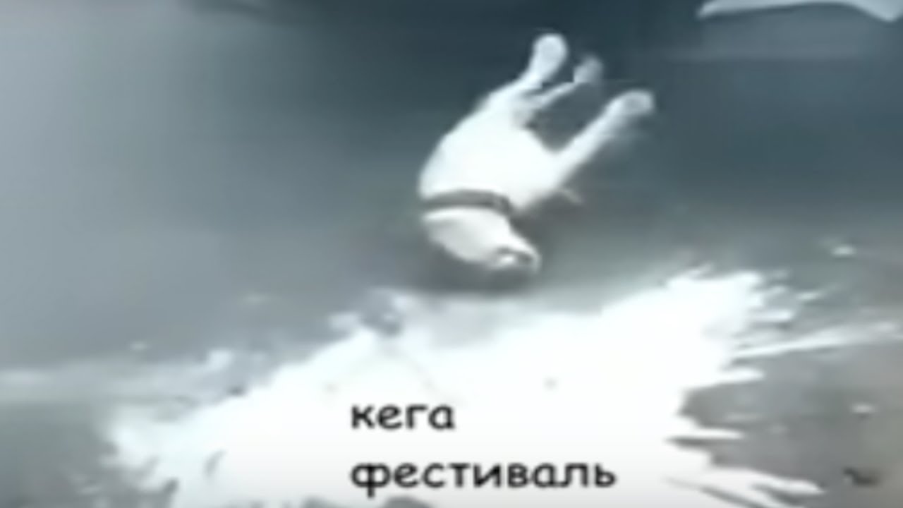 【Collaboration】 кега фестиваль