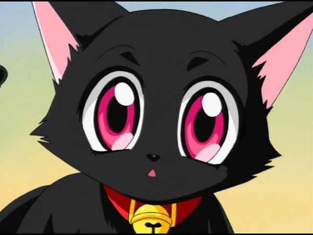 journey to all the ladies in the dance