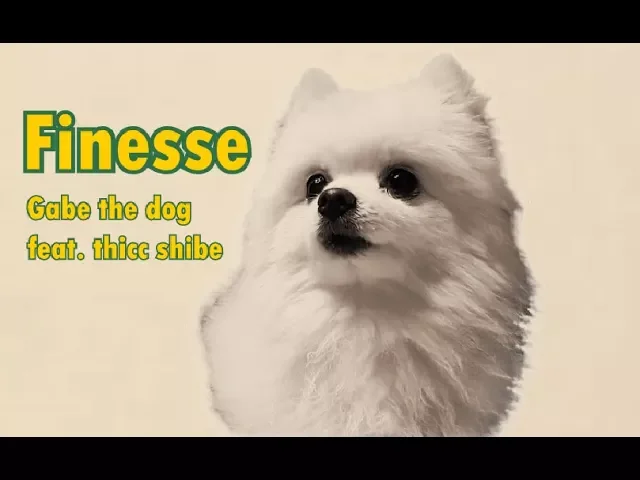 Borkin' in Finesse