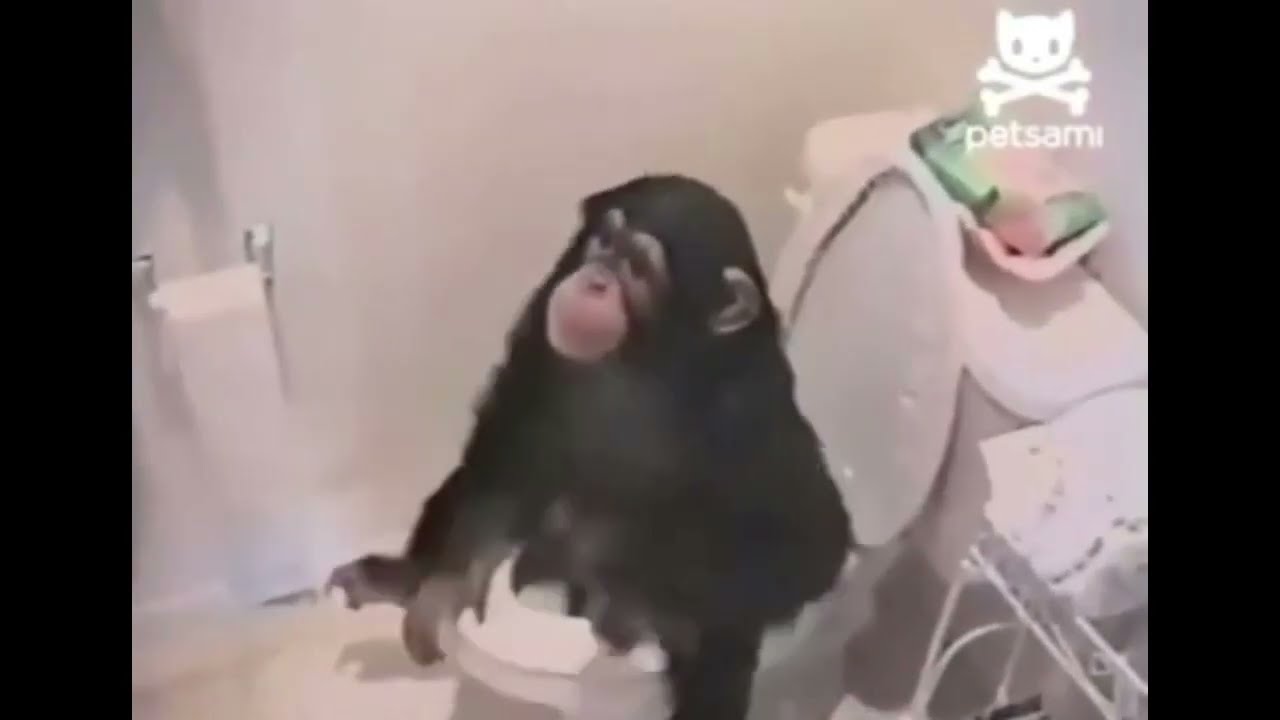 I Want It monkey