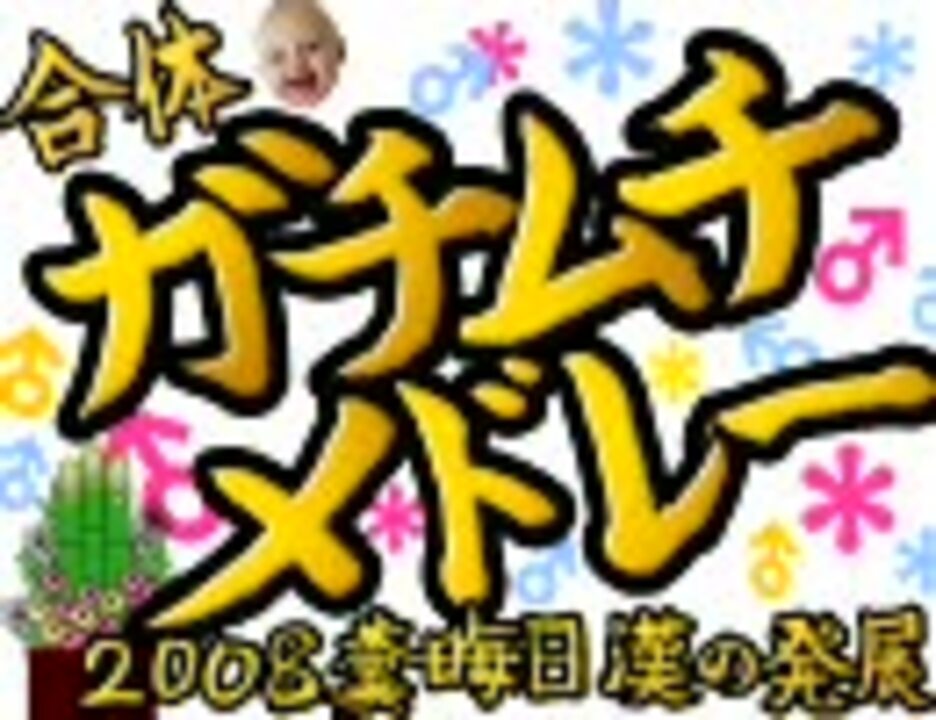 (合体)ガチムチメドレー ～2008 糞晦日 漢の発展～
