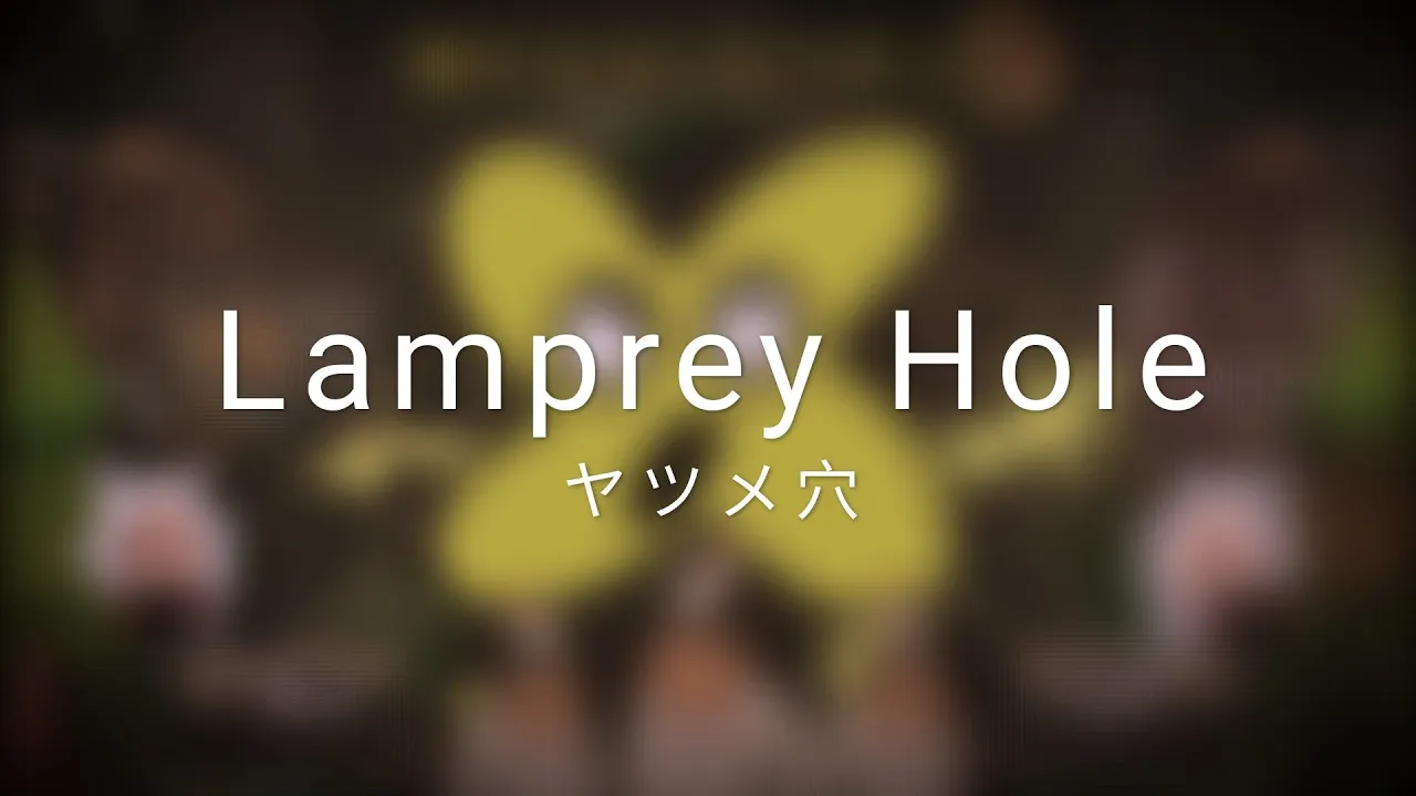 Ｌａ ｍ ｐｒｅｙ