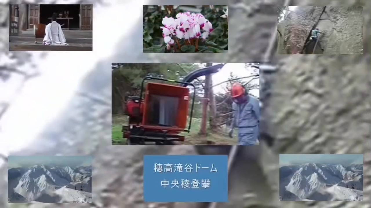 acidjazzweed evening