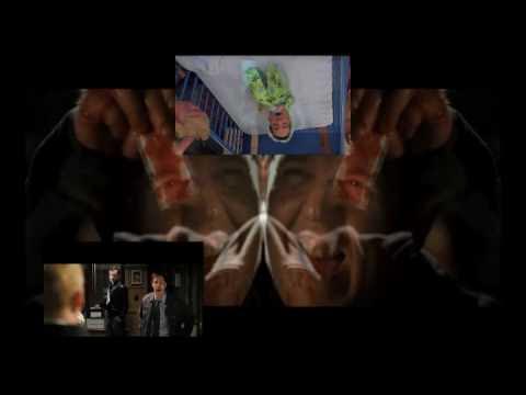 【レッドゾーン】 HOT FUZZ ZONE RADIX