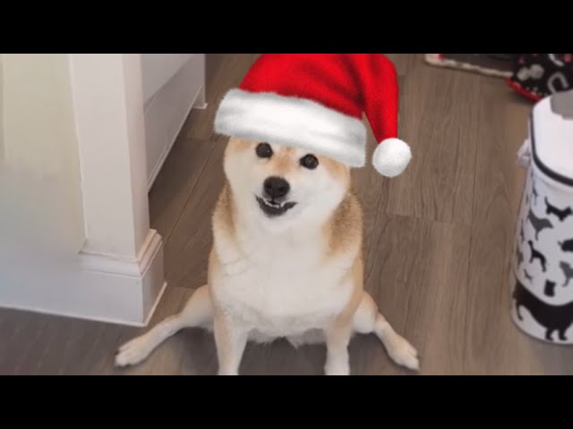 Sleigh Ride Dog Version
