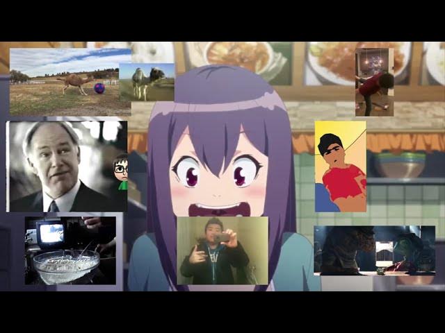 All Stars of the Moltern Tribe