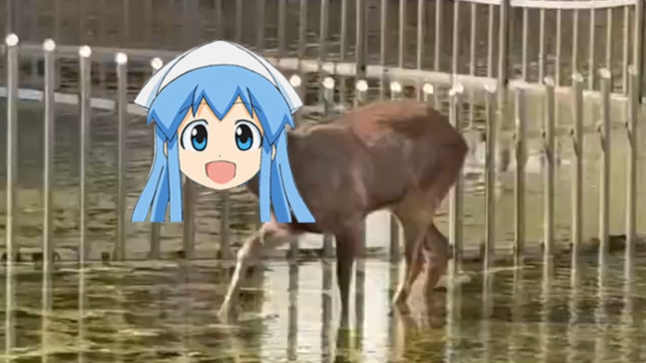 イカさんヤリ娘ぇ!