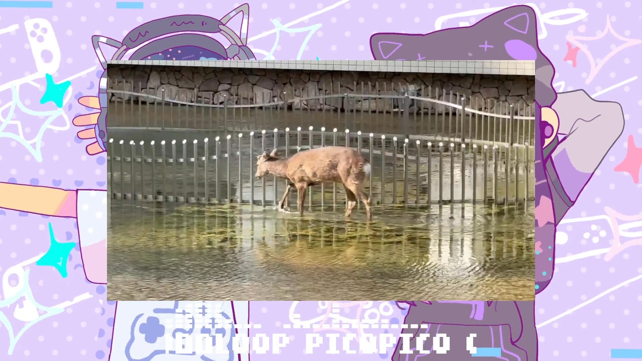 鹿さんやりますねぇ動画