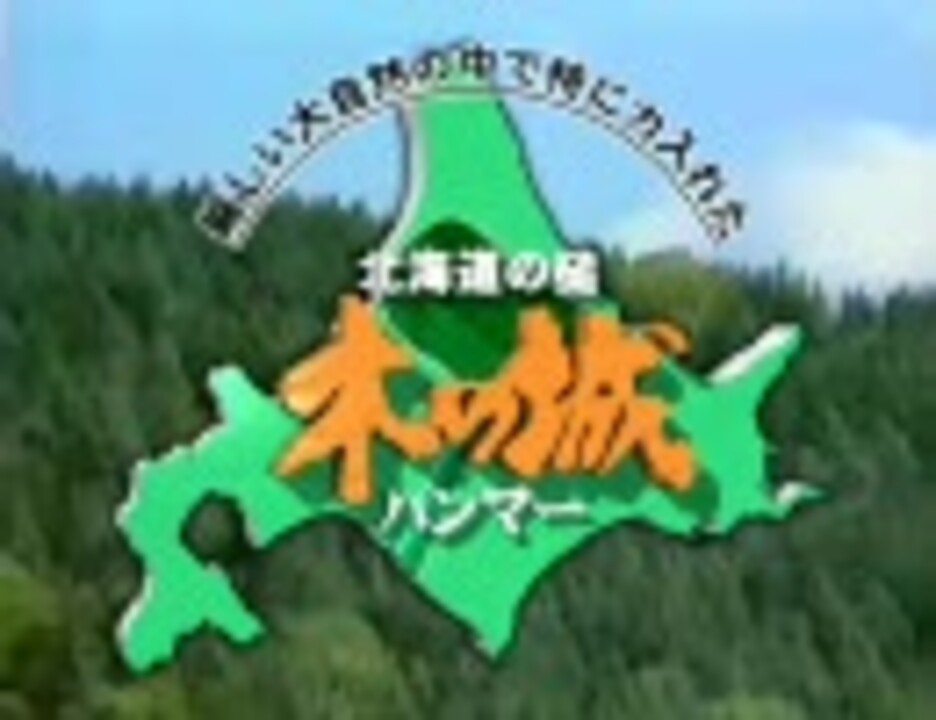 【北海道の槌】木の城ハンマー