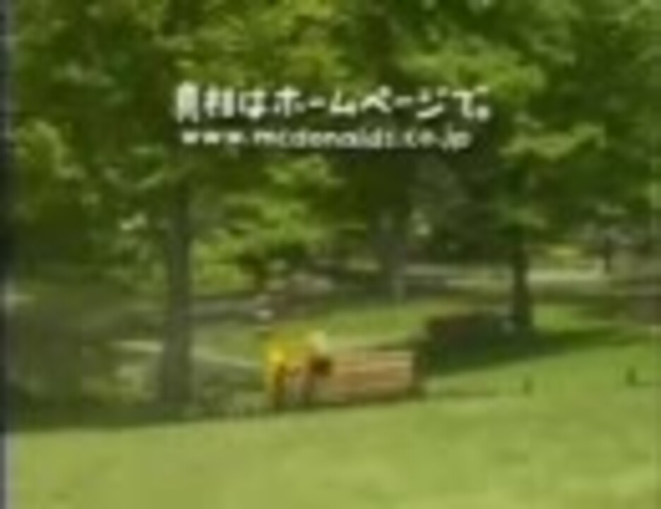 ドナルドは今、マリオに夢中なんだ。(スーパードナルドブラザーズ)